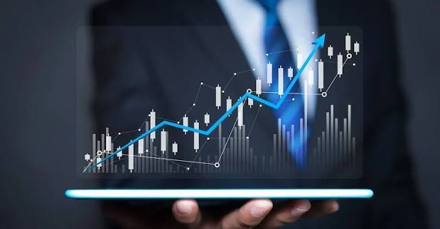 Brand Store Creation & Optimization