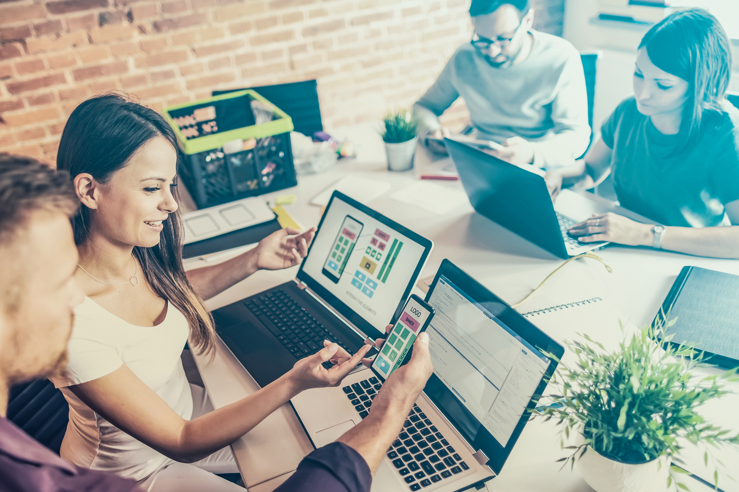 Business Website Development